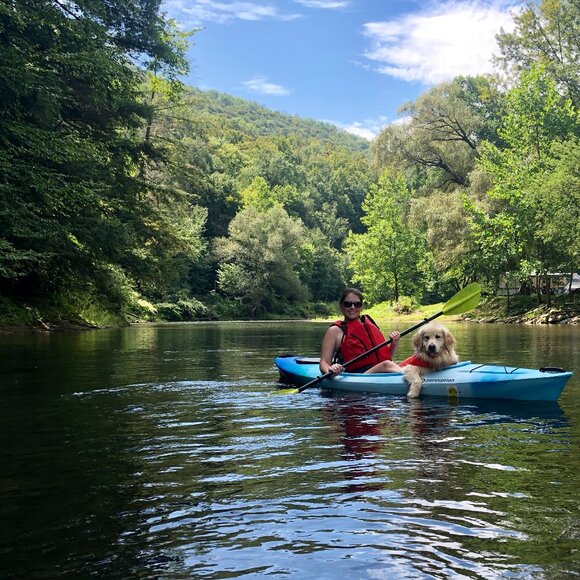 Meet your Posher, Jackie - Picture 1 of 1